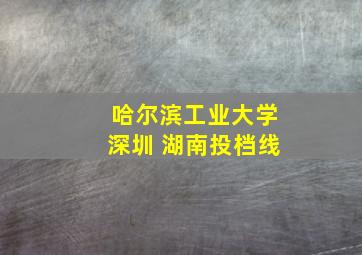 哈尔滨工业大学深圳 湖南投档线